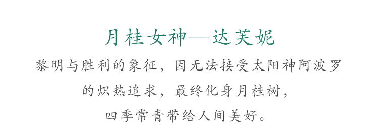 裁圖-ccc-04.png